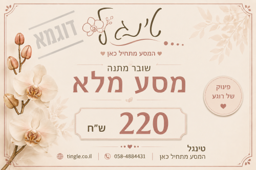 שובר מסע מלא לדוגמא